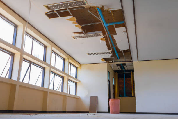 Best Water damage cleanup near me  in Lexington, VA