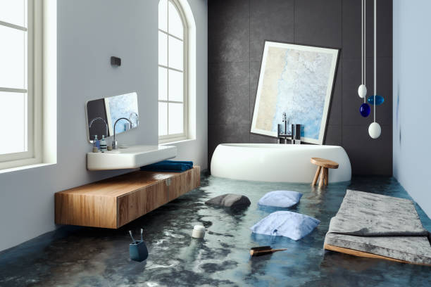 Best Water damage cleanup near me  in Lexington, VA