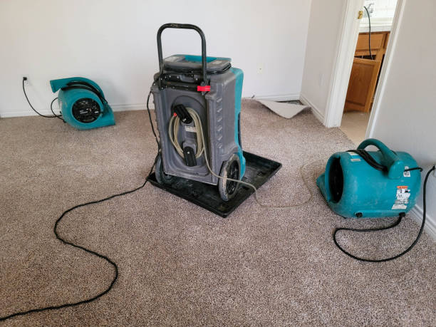 Best 24/7 water damage repair  in Lexington, VA