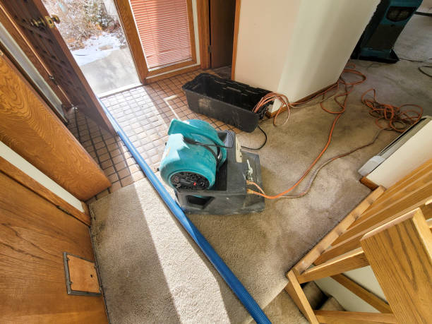 Best Emergency water extraction  in Lexington, VA