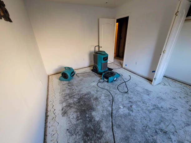 Best Mold removal after water damage  in Lexington, VA