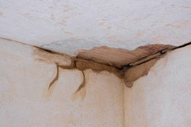 Best Basement water damage restoration  in Lexington, VA
