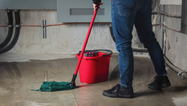 Best 24/7 water damage repair  in Lexington, VA