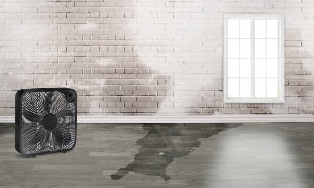 Best Commercial water damage restoration  in Lexington, VA