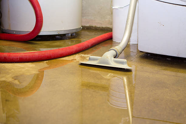 Best Water damage contractors near me  in Lexington, VA