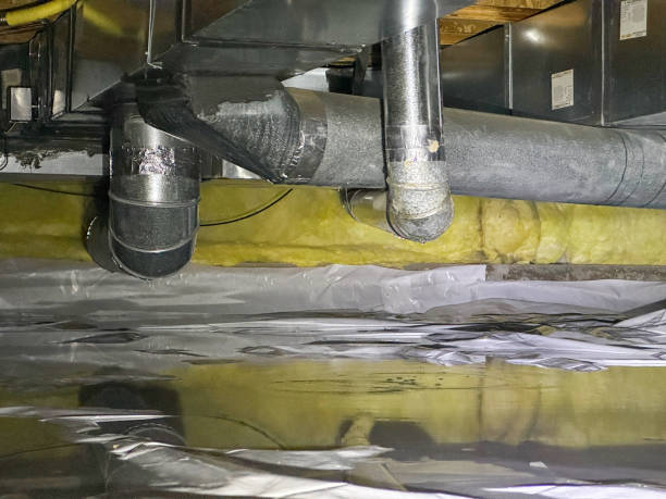 Best Water damage contractors near me  in Lexington, VA
