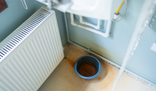 Best Flood restoration services  in Lexington, VA