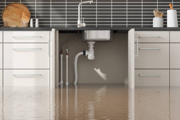 Best Local water damage restoration  in Lexington, VA