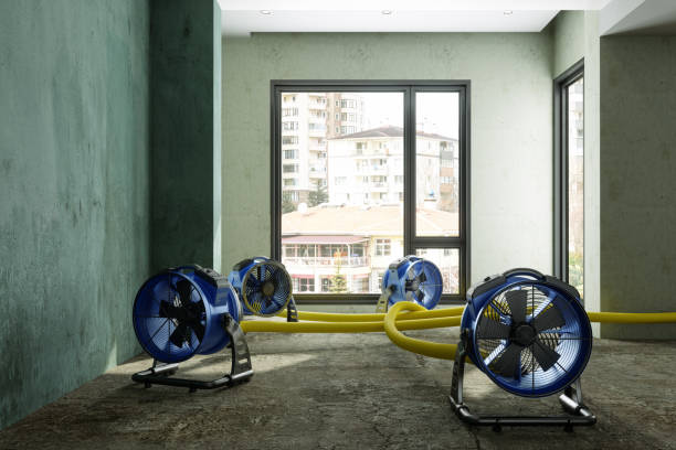 Best Water damage restoration experts  in Lexington, VA